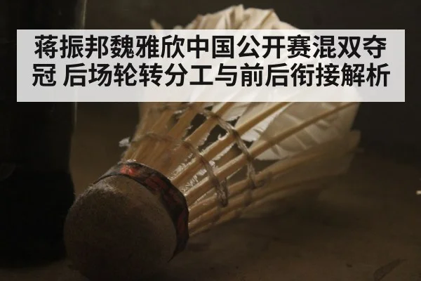 蒋振邦魏雅欣中国公开赛混双夺冠 后场轮转分工与前后衔接解析